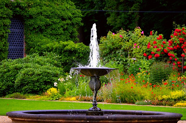 fontána v parku